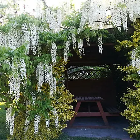Agroturismo Jozefowka Borkowo Leborskie *