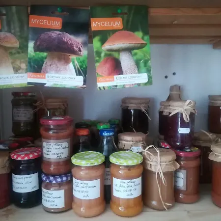 Jozefowka Borkowo Leborskie 农家乐