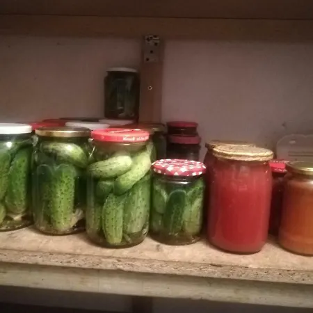 Jozefowka Borkowo Leborskie