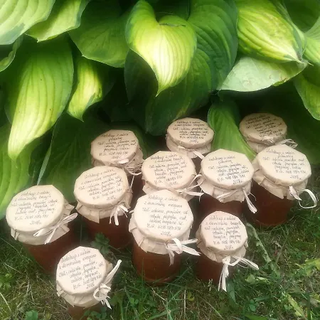 Farmház Jozefowka Borkowo Leborskie *