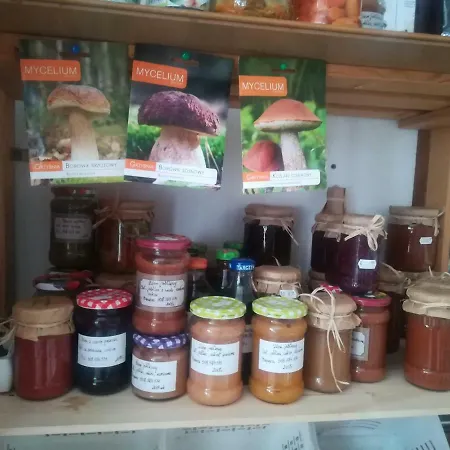 Jozefowka Borkowo Leborskie