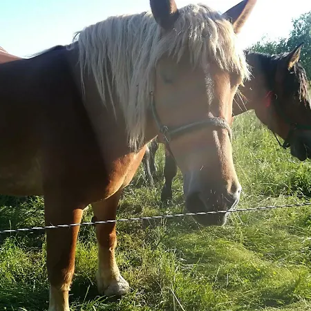 Jozefowka Borkowo Leborskie *