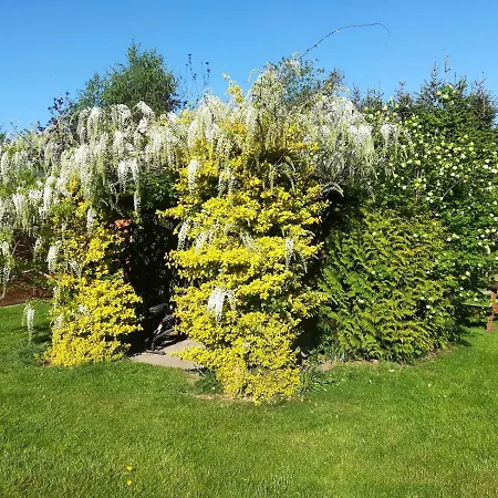 Alojamento de Turismo Rural Jozefowka Borkowo Leborskie Zwartowko
