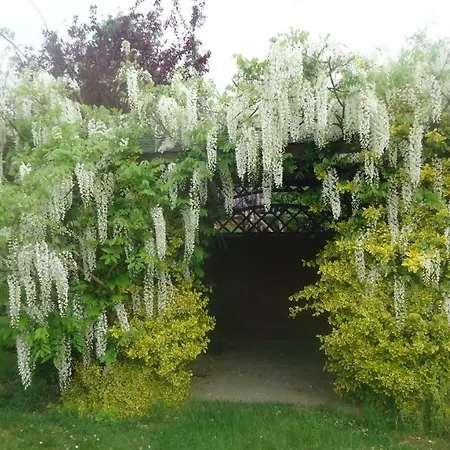 Jozefowka Borkowo Leborskie Agroturismo *