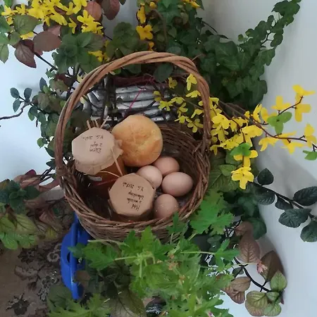 Jozefowka Borkowo Leborskie *