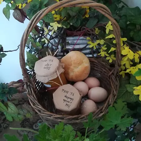 Jozefowka Borkowo Leborskie *