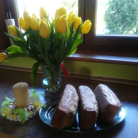 Jozefowka Borkowo Leborskie Alojamento de Turismo Rural Zwartowko