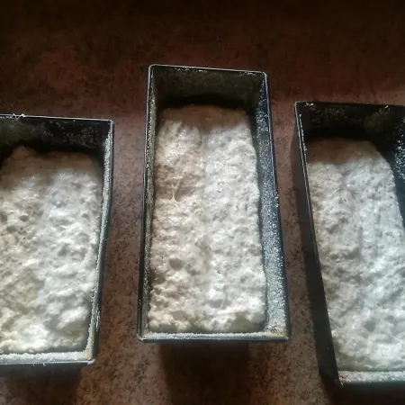 Agroturismo Jozefowka Borkowo Leborskie