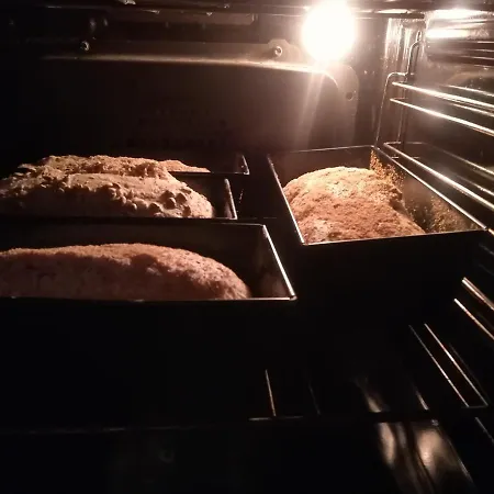 Feriegård Jozefowka Borkowo Leborskie *