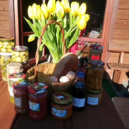 Jozefowka Borkowo Leborskie *