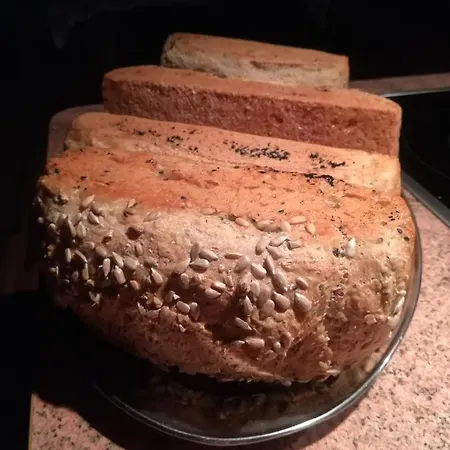 Alojamento de Turismo Rural Jozefowka Borkowo Leborskie