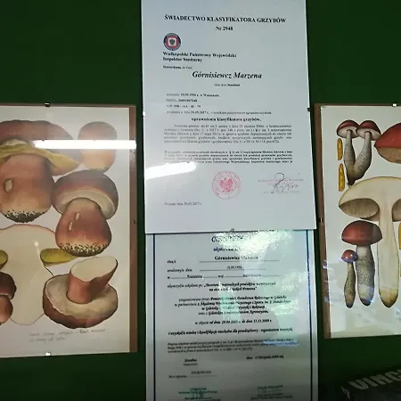 팜스테이 Jozefowka Borkowo Leborskie