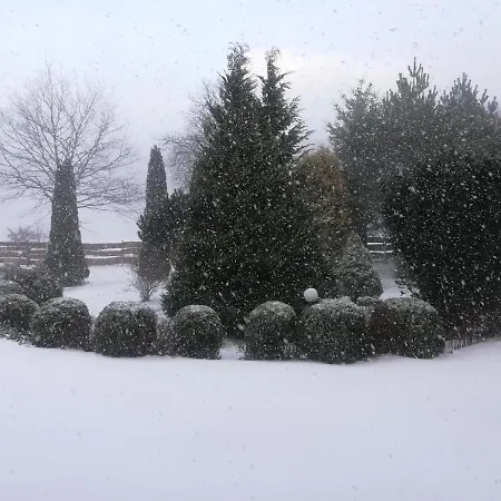 Jozefowka Borkowo Leborskie Agroturismo *