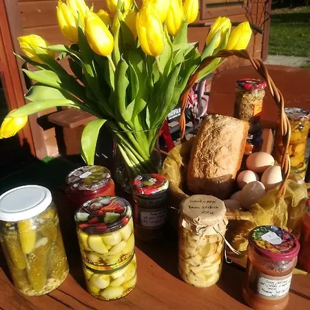 Jozefowka Borkowo Leborskie *