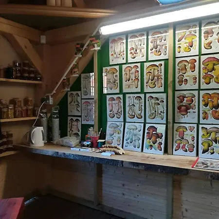 Feriegård Jozefowka Borkowo Leborskie Zwartowko