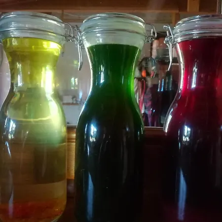 Agroturismo Jozefowka Borkowo Leborskie