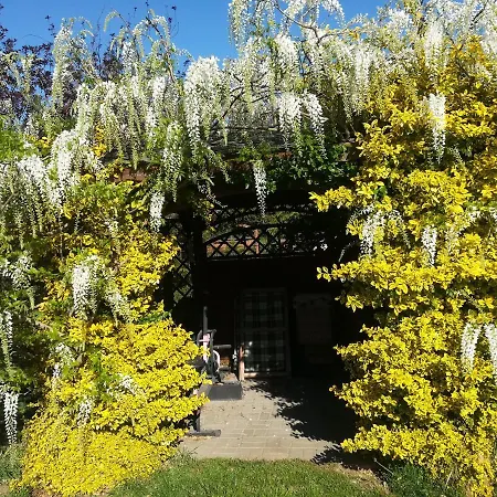 Jozefowka Borkowo Leborskie Zwartowko