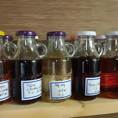 Alojamento de Turismo Rural Jozefowka Borkowo Leborskie Zwartowko