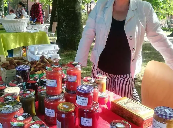 Gospodarstwo agroturystyczne Józefówka Borkowo Lęborskie