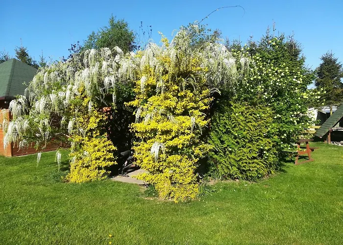 Gospodarstwo agroturystyczne Józefówka Borkowo Lęborskie Zwartowko