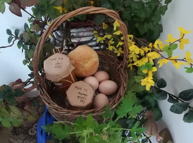 Józefówka Borkowo Lęborskie *