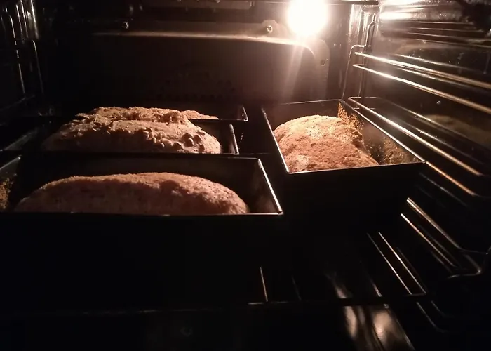 Gospodarstwo agroturystyczne Józefówka Borkowo Lęborskie *