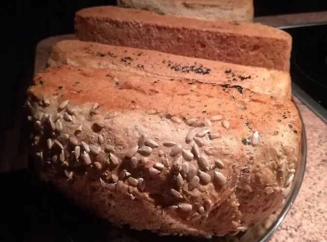 Gospodarstwo agroturystyczne Józefówka Borkowo Lęborskie