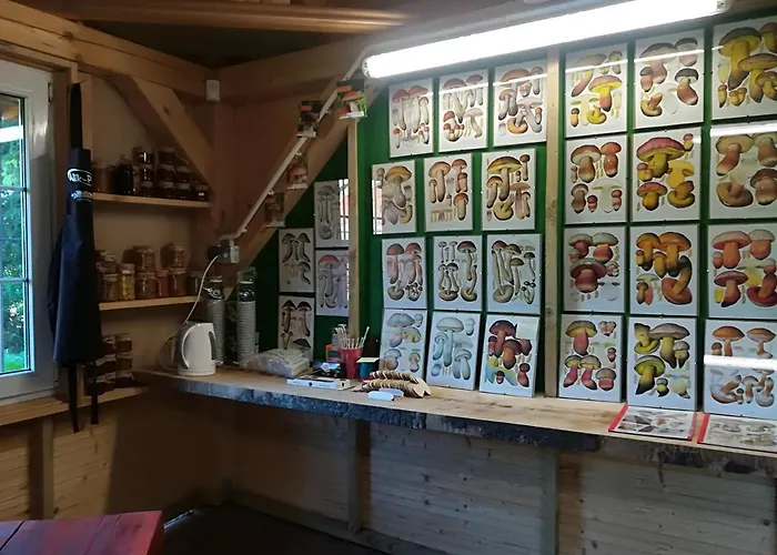 Gospodarstwo agroturystyczne Józefówka Borkowo Lęborskie Zwartowko
