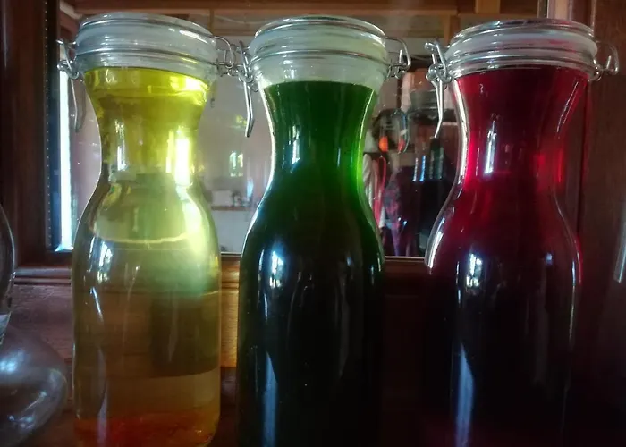 Gospodarstwo agroturystyczne Józefówka Borkowo Lęborskie