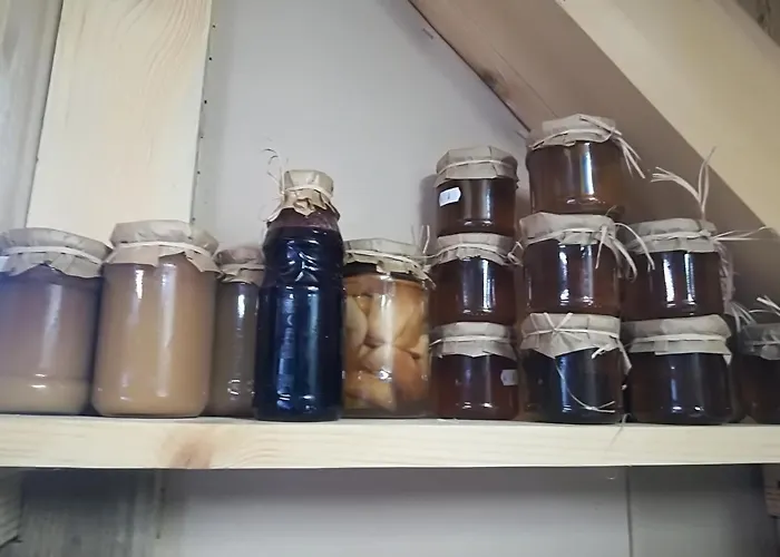 Józefówka Borkowo Lęborskie Gospodarstwo agroturystyczne *