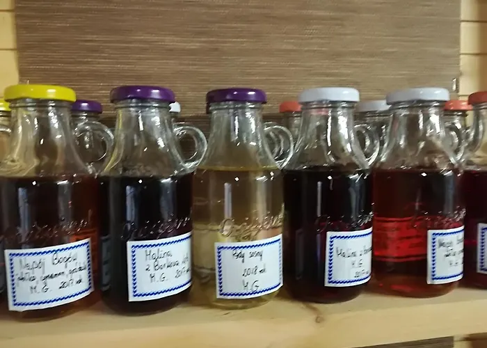 Gospodarstwo agroturystyczne Józefówka Borkowo Lęborskie Zwartowko